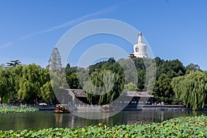 Ã¤Â¸Â­Ã¥âºÂ½Ã¥ÅâÃ¤ÂºÂ¬Ã¥ÅâÃ¦ÂµÂ·Ã¥â¦Â¬Ã¥âºÂ­ Beihai Park, Beijing, China photo